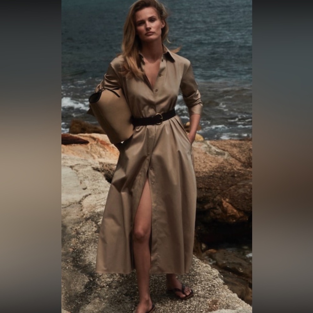 Massimo Dutti Beige Long dress